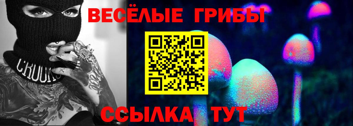 Псилоцибиновые грибы GOLDEN TEACHER  Галлюциногенные грибы GOLDEN TEACHER  Нижнекамск  Вход с VPN 